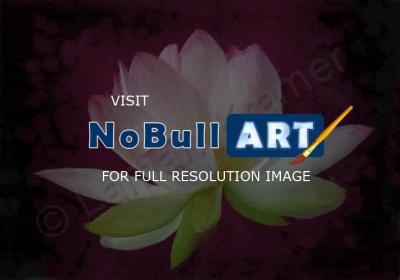 Paintings - Lotus - Acrylic On Canvas
